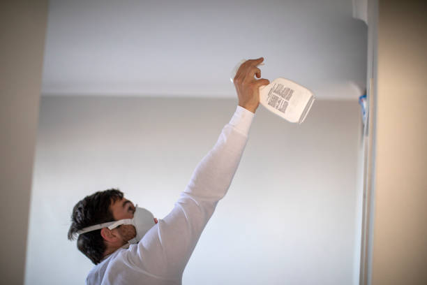 Reliable Port Hueneme, CA Mold Removal Solutions
