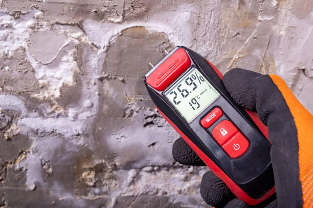 Best Mold Cleaning Services  in Port Hueneme, CA