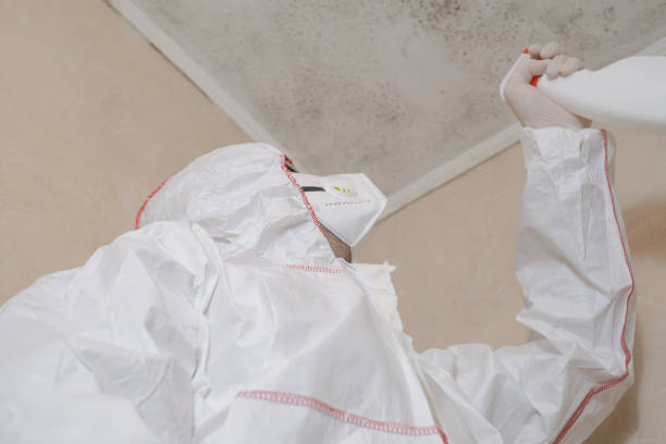 Best Mold Testing  in Port Hueneme, CA
