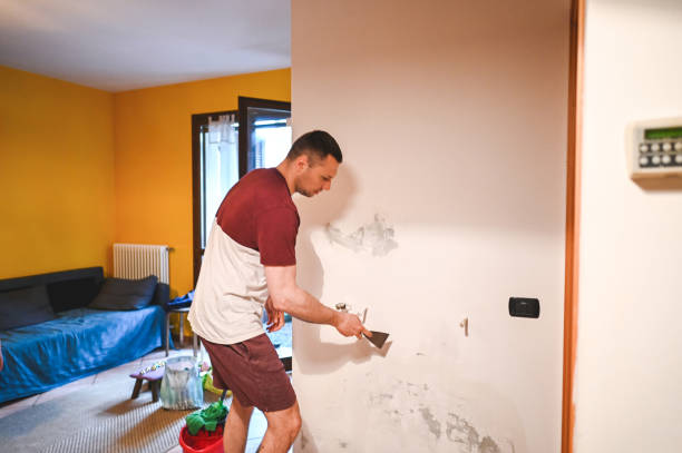 Professional Mold Removal in Port Hueneme, CA